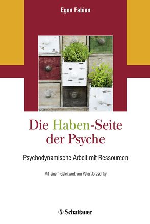 Die „Haben“-Seite der Psyche von Fabian,  Egon, Joraschky,  Peter