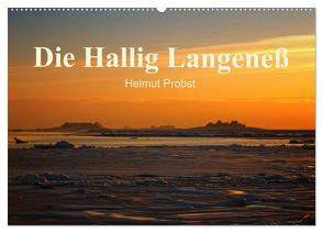 Die Hallig Langeneß / CH-Version (Wandkalender 2024 DIN A2 quer), CALVENDO Monatskalender von Probst,  Helmut