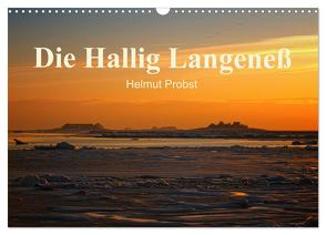 Die Hallig Langeneß / CH-Version (Wandkalender 2024 DIN A3 quer), CALVENDO Monatskalender von Probst,  Helmut