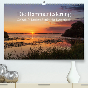 Die Hammeniederung – Zauberhafte Landschaft in Norden Deutschlands (Premium, hochwertiger DIN A2 Wandkalender 2020, Kunstdruck in Hochglanz) von Hömske,  Michael