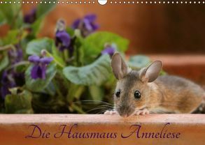 Die Hausmaus Anneliese (Wandkalender 2019 DIN A3 quer) von Hultsch,  Heike