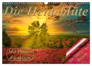 Die Heideblüte (Wandkalender 2024 DIN A3 quer), CALVENDO Monatskalender von Schwerin,  Heinz-Peter