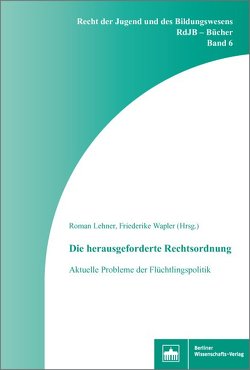 Die herausgeforderte Rechtsordnung von Lehner,  Roman, Wapler,  Friederike