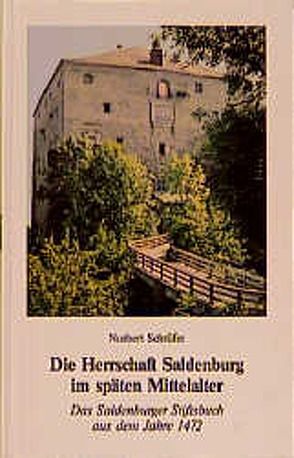 Die Herrschaft Saldenburg im späten Mittelalter von Schrüfer,  Norbert