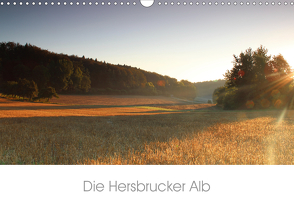 Die Hersbrucker Alb (Wandkalender 2021 DIN A3 quer) von Tauber,  Sebastian