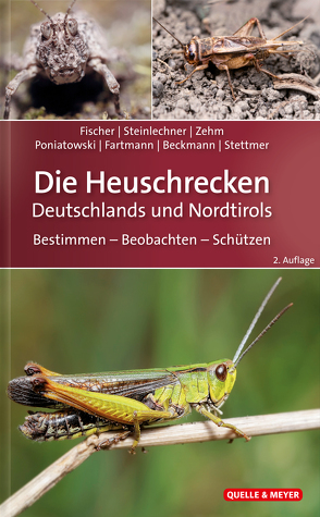 Die Heuschrecken Deutschlands und Nordtirols von Bayerische Akademie für Naturschutz und Landschaftspflege (ANL), Beckmann,  Armin, Fartmann,  Thomas, Fischer,  Jürgen, Poniatowski,  Dominik, Steinlechner,  Daniela, Stettmer,  Christian, Zehm,  Andreas