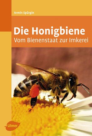 Die Honigbiene von Spürgin,  Armin