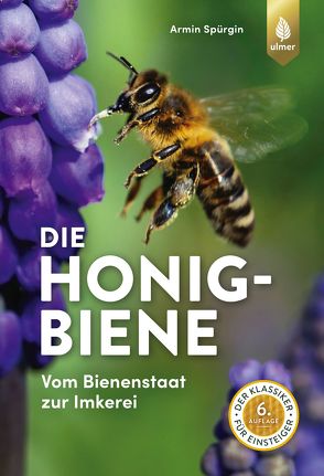 Die Honigbiene von Spürgin,  Armin