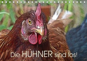 Die Hühner sind los! (Tischkalender 2019 DIN A5 quer) von M. Laube,  Lucy