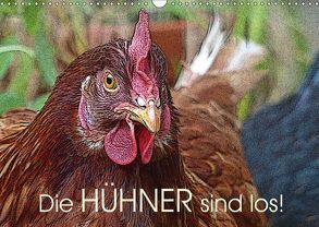Die Hühner sind los! (Wandkalender 2019 DIN A3 quer) von M. Laube,  Lucy