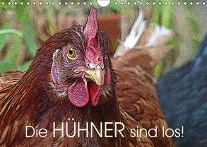 Die Hühner sind los! (Wandkalender 2019 DIN A4 quer) von M. Laube,  Lucy
