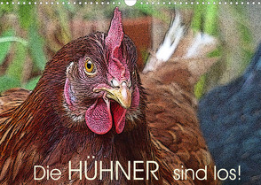 Die Hühner sind los! (Wandkalender 2022 DIN A3 quer) von M. Laube,  Lucy