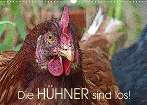 Die Hühner sind los! (Wandkalender 2023 DIN A3 quer) von M. Laube,  Lucy