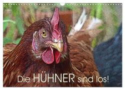 Die Hühner sind los! (Wandkalender 2024 DIN A3 quer), CALVENDO Monatskalender von M. Laube,  Lucy