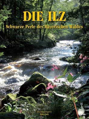 Die Ilz – Schwarze Perle des Bayerischen Waldes von Anetsberger,  Alexander, Linhard,  Helmut, Paulus,  Karl H, Praxl,  Paul, Vogel,  Dieter