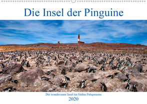 Die Insel der Pinguine – Die wundersame Insel im Süden Patagoniens (Wandkalender 2020 DIN A2 quer) von Zillich,  Bernd
