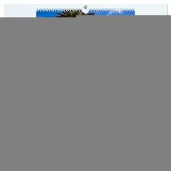 Die Insel Teneriffa, Impressionen einer Vulkaninsel im Atlantik (hochwertiger Premium Wandkalender 2024 DIN A2 hoch), Kunstdruck in Hochglanz von Wolff,  Alexander