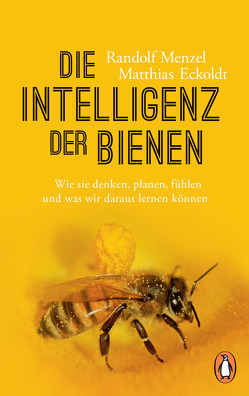 Die Intelligenz der Bienen von Eckoldt,  Matthias, Menzel,  Randolf