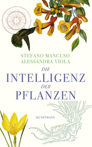 Die Intelligenz der Pflanzen von Ammann,  Christine, Mancuso,  Stefano, Viola,  Alessandra