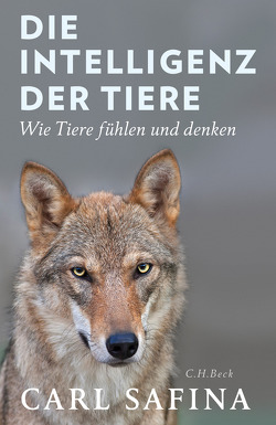 Die Intelligenz der Tiere von Safina,  Carl, Schmid,  Sigrid, Würdinger,  Gabriele