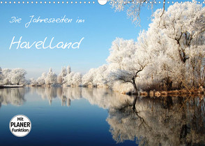Die Jahreszeiten im Havelland (Wandkalender 2023 DIN A3 quer) von Frost,  Anja