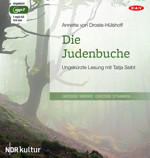 Die Judenbuche von Droste-Hülshoff,  Annette von, Seibt,  Tatja