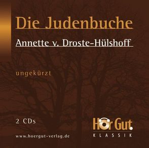 Die Judenbuche von Droste-Hülshoff,  Annette von, Falkenberg,  Sabine, Jochmann,  Norbert