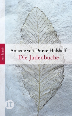 Die Judenbuche von Begemann,  Christian, Droste-Hülshoff,  Annette von, Haxthausen,  August von