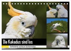 Die Kakadus sind los (Tischkalender 2024 DIN A5 quer), CALVENDO Monatskalender von Lindert-Rottke,  Antje