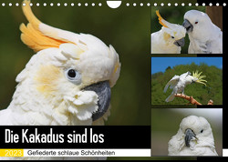 Die Kakadus sind los (Wandkalender 2023 DIN A4 quer) von Lindert-Rottke,  Antje