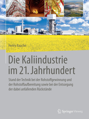 Die Kaliindustrie im 21. Jahrhundert von Rauche,  Henry