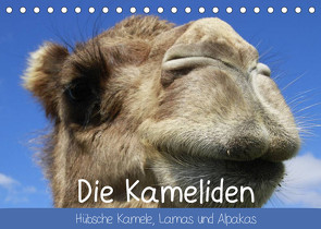 Die Kameliden. Hübsche Kamele, Lamas und Alpakas (Tischkalender 2022 DIN A5 quer) von Stanzer,  Elisabeth