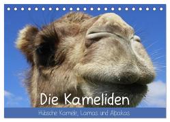 Die Kameliden. Hübsche Kamele, Lamas und Alpakas (Tischkalender 2024 DIN A5 quer), CALVENDO Monatskalender von Stanzer,  Elisabeth