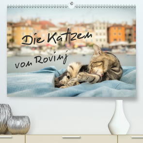 Die Katzen von Rovinj (Premium, hochwertiger DIN A2 Wandkalender 2020, Kunstdruck in Hochglanz) von Gross,  Viktor