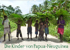 Die Kinder von Papua Neuguinea (Wandkalender 2022 DIN A2 quer) von Hähnke und Peter Möller,  André