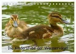 Die Kinderstube der Wasservögel (Tischkalender 2024 DIN A5 quer), CALVENDO Monatskalender von Kattobello,  Kattobello