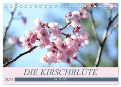 Die Kirschblüte in Japan (Tischkalender 2024 DIN A5 quer), CALVENDO Monatskalender von Flori0,  Flori0