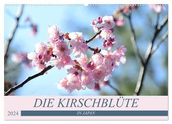 Die Kirschblüte in Japan (Wandkalender 2024 DIN A2 quer), CALVENDO Monatskalender von Flori0,  Flori0