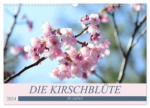 Die Kirschblüte in Japan (Wandkalender 2024 DIN A3 quer), CALVENDO Monatskalender von Flori0,  Flori0