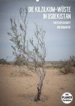 Die Kizilkum-Wüste in Usbekistan – Zwischen Rauheit und Romantik (Wandkalender 2018 DIN A2 hoch) von Dobrindt,  Jeanette