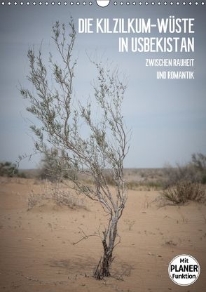 Die Kizilkum-Wüste in Usbekistan – Zwischen Rauheit und Romantik (Wandkalender 2018 DIN A3 hoch) von Dobrindt,  Jeanette