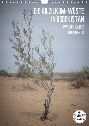 Die Kizilkum-Wüste in Usbekistan – Zwischen Rauheit und Romantik (Wandkalender 2019 DIN A4 hoch) von Dobrindt,  Jeanette