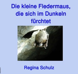 Die kleine Fledermaus, die sich im Dunkeln fürchtet von Schulz,  Regina