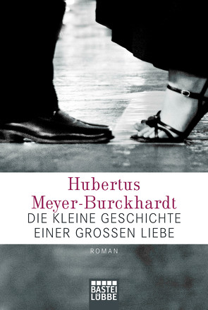 Die kleine Geschichte einer großen Liebe von Meyer-Burckhardt,  Hubertus