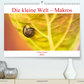 Die kleine Welt – Makros (Premium, hochwertiger DIN A2 Wandkalender 2021, Kunstdruck in Hochglanz) von Schnell,  Michael
