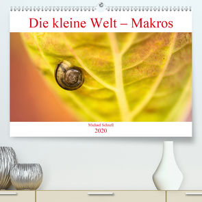 Die kleine Welt – Makros (Premium, hochwertiger DIN A2 Wandkalender 2020, Kunstdruck in Hochglanz) von Schnell,  Michael