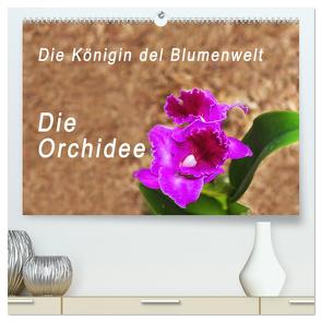 Die Königin der Blumenwelt, die Orchidee (hochwertiger Premium Wandkalender 2024 DIN A2 quer), Kunstdruck in Hochglanz von Rosenthal,  Peter