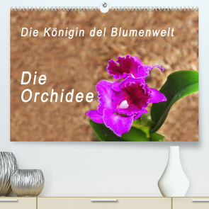 Die Königin der Blumenwelt, die Orchidee (Premium, hochwertiger DIN A2 Wandkalender 2022, Kunstdruck in Hochglanz) von Rosenthal,  Peter