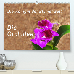 Die Königin der Blumenwelt, die Orchidee (Premium, hochwertiger DIN A2 Wandkalender 2023, Kunstdruck in Hochglanz) von Rosenthal,  Peter