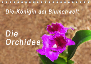Die Königin der Blumenwelt, die Orchidee (Tischkalender 2019 DIN A5 quer) von Rosenthal,  Peter